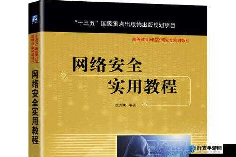 如何确保 mini6 的秘密入口安全：保障信息安全的实用建议