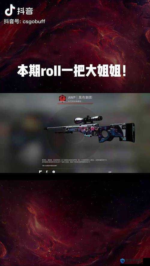 日本 CSGO 大姐姐 AWP 价格究竟多少钱呢