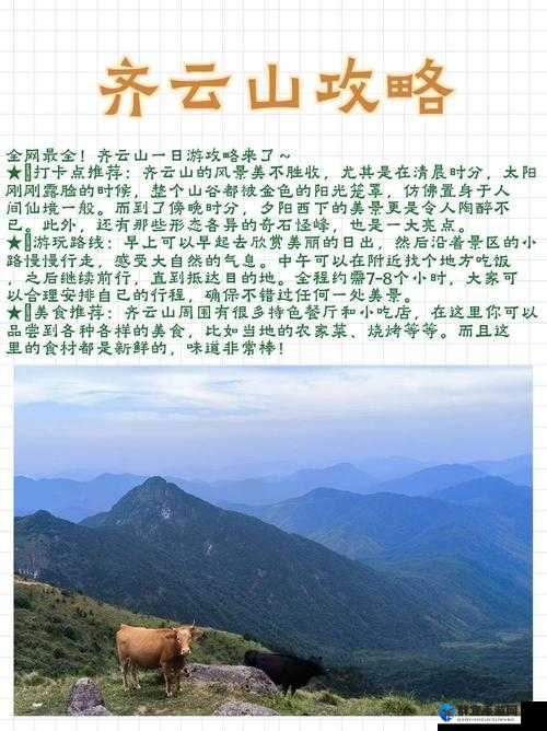 咒语力量3齐云山区域隐藏物品位置及获取方法全面解析攻略