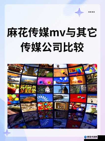 麻花传媒 MV 与其他传媒公司比较：优势与挑战