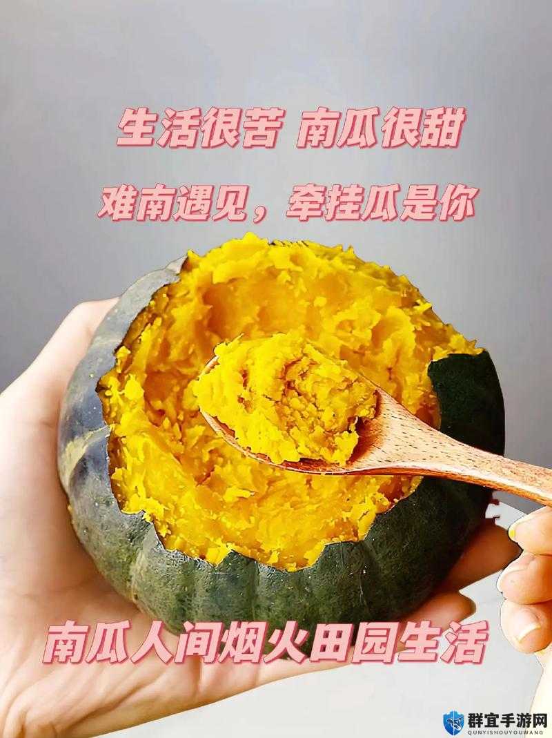 食用黑料瓜注意事项：选择新鲜无腐烂、熟透无变质的黑料瓜，食用前需彻底清洗干净，避免食用过量引起不适