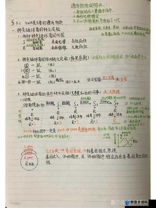 日本人和欧洲人的 DNA 对比：揭示遗传差异与进化线索