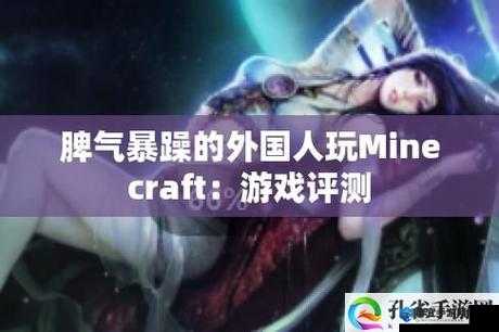 暴躁老外玩Minecraft大型纪录片：精彩游戏之旅的全方位呈现